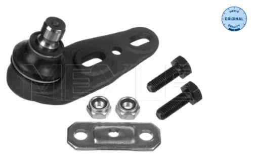 Trag-/Führungsgelenk