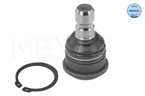 Trag-/Führungsgelenk