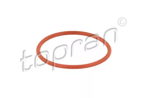 Dichtung, AGR-Ventil