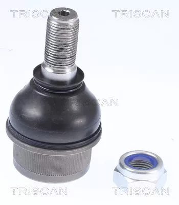 Trag-/Führungsgelenk