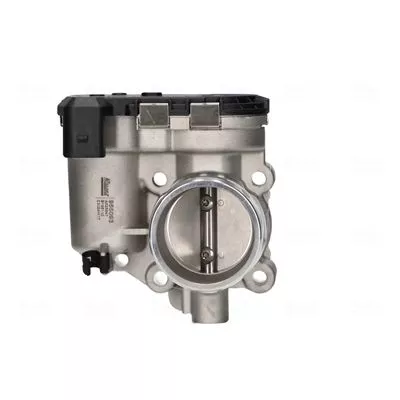 Drosselklappenstutzen