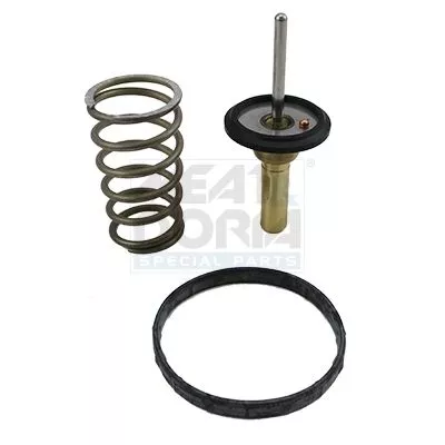 Thermostat, Kühlmittel