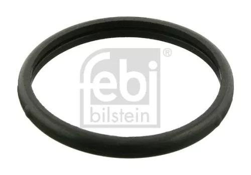 Dichtung, Thermostat