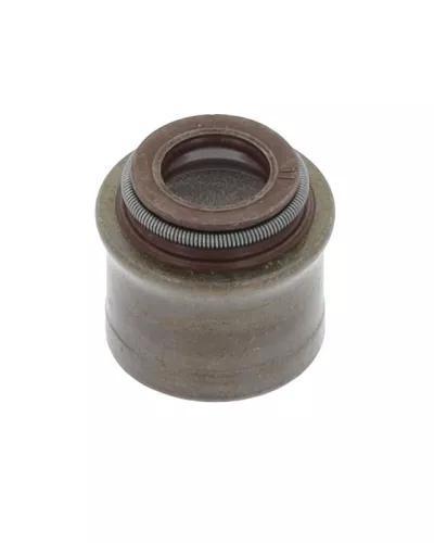 Dichtring, Ventilschaft