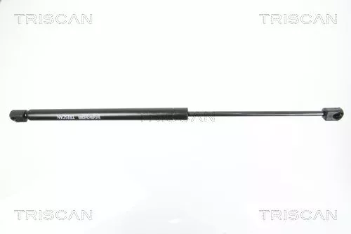 Gasfeder, Heckscheibe