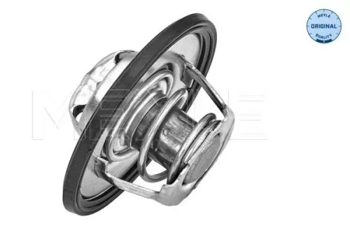 Thermostat, Kühlmittel