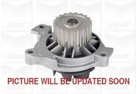 Wasserpumpe, Motorkühlung