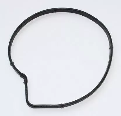 Dichtung, Wasserpumpe