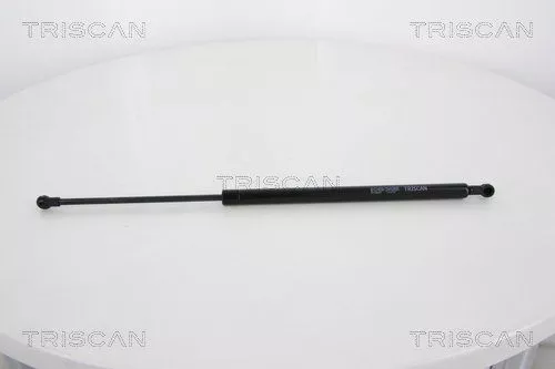 Gasfeder, Koffer-/Laderaum