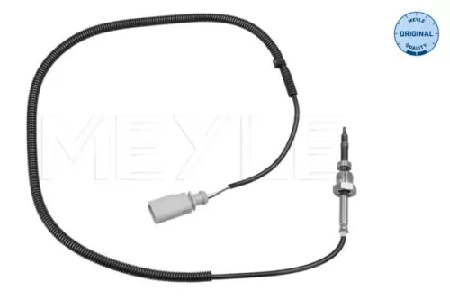 Sensor, Abgastemperatur