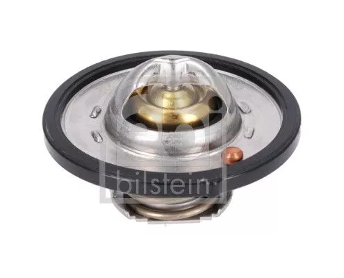 Thermostat, Kühlmittel