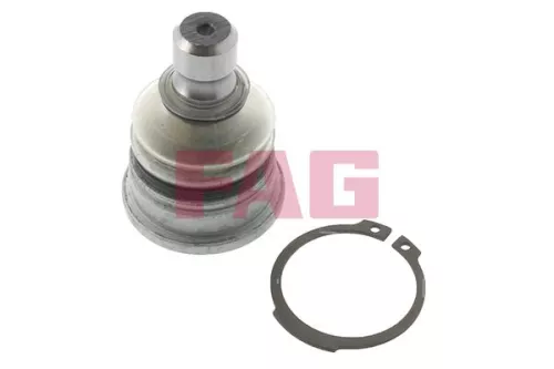 Trag-/Führungsgelenk