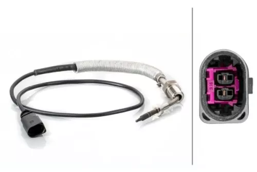 Sensor, Abgastemperatur