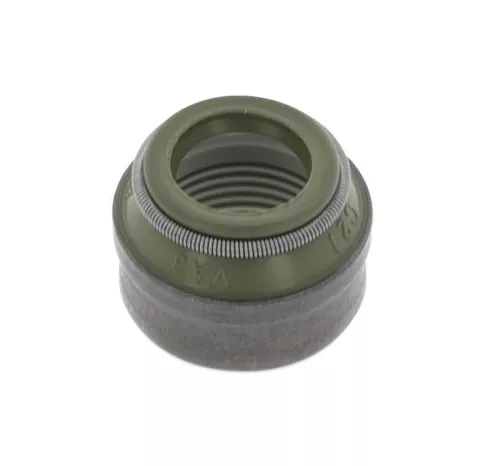 Dichtring, Ventilschaft