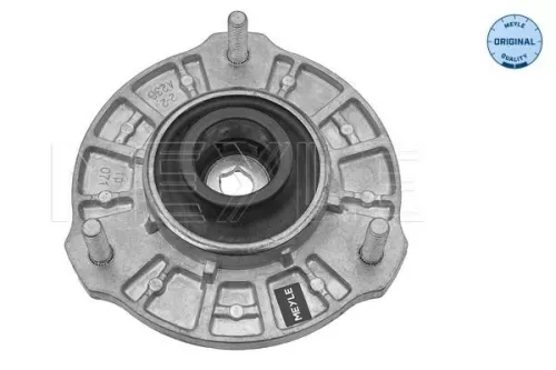 Federbeinstützlager