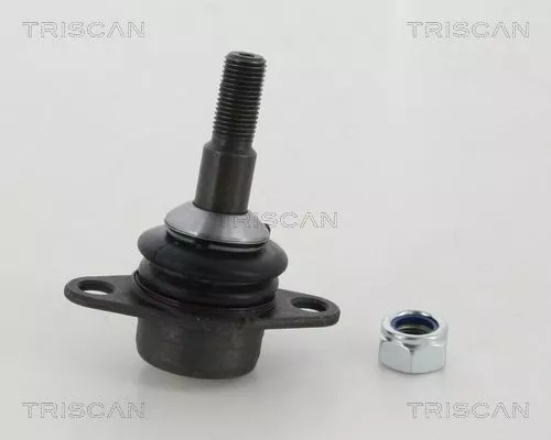 Trag-/Führungsgelenk