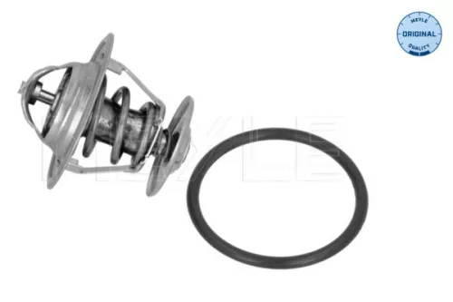 Thermostat, Kühlmittel