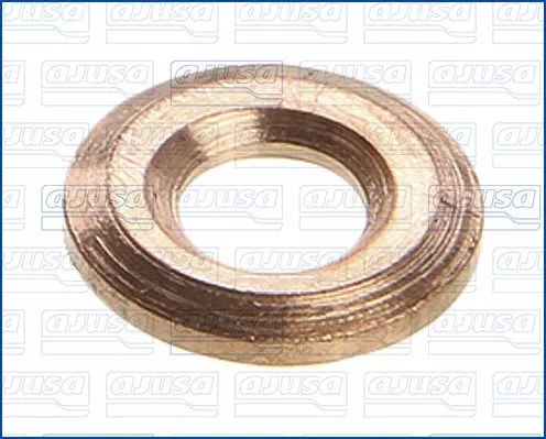 Dichtring, Einspritzventil