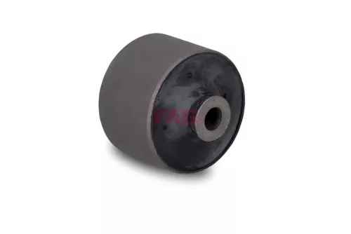 Lagerung, Achskörper