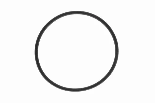 Dichtung, Thermostat