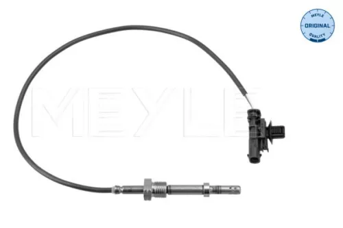 Sensor, Abgastemperatur