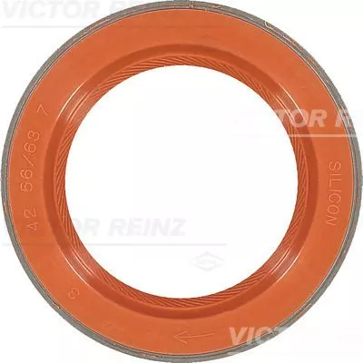 Wellendichtring, Kurbelwelle