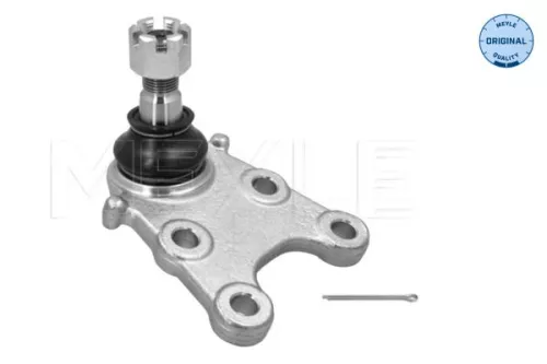 Trag-/Führungsgelenk