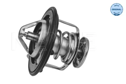 Thermostat, Kühlmittel