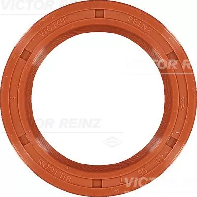 Wellendichtring, Kurbelwelle