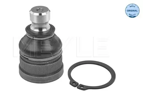 Trag-/Führungsgelenk