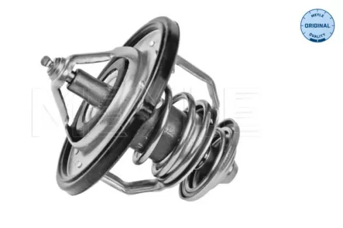 Thermostat, Kühlmittel