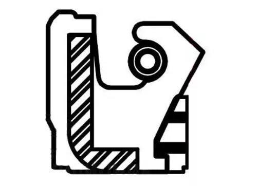 Wellendichtring, Servopumpe