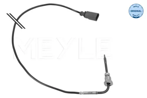 Sensor, Abgastemperatur