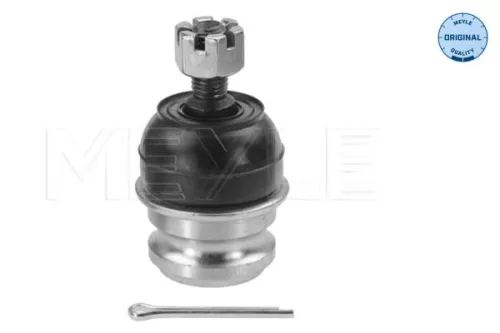 Trag-/Führungsgelenk